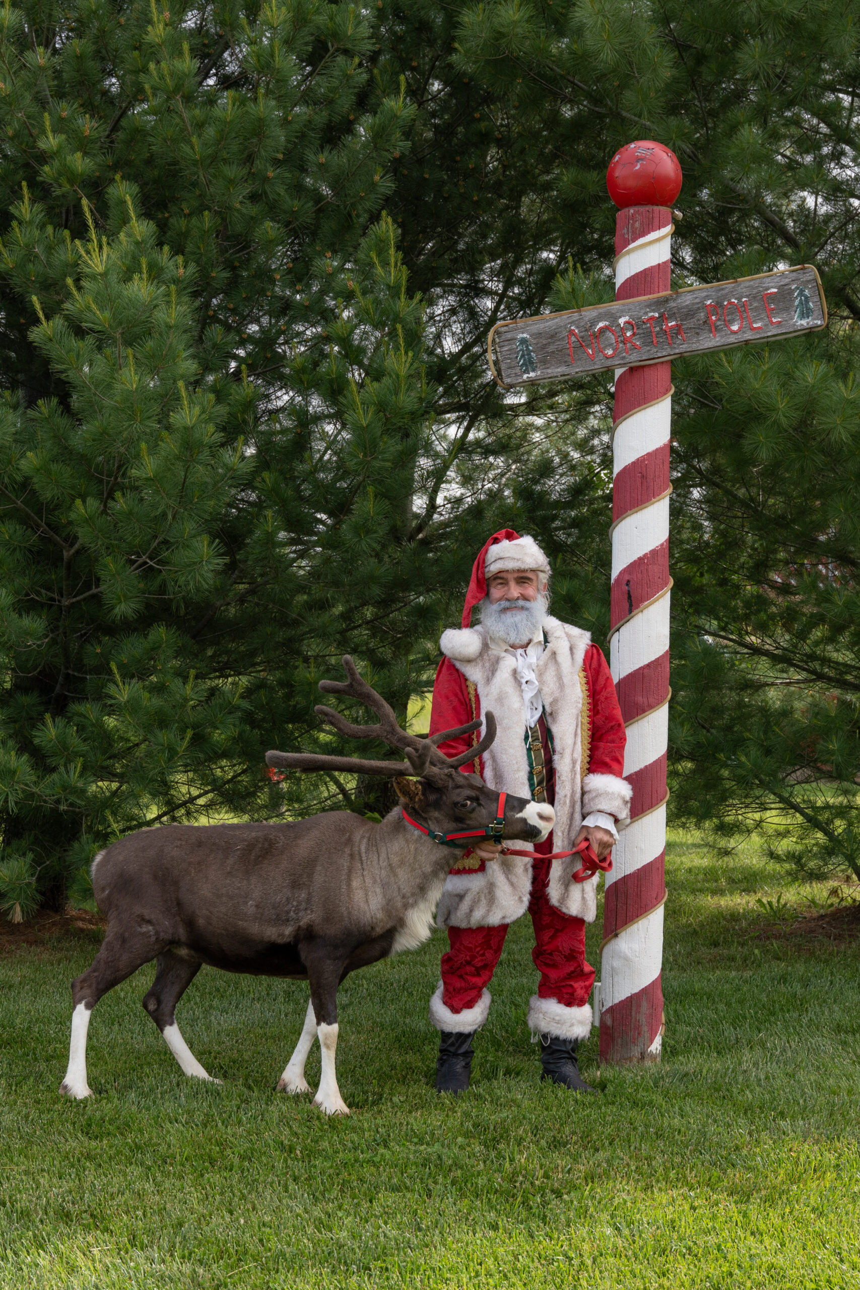 Santa Tom Niagara